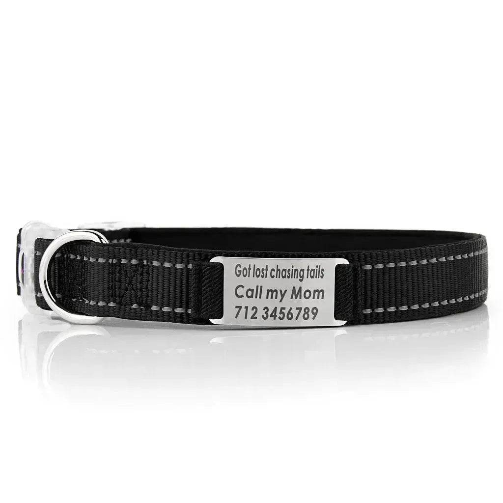 Customized Nylon Dog Collar - EX-STOCK Canada