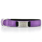 Customized Nylon Dog Collar - EX-STOCK Canada