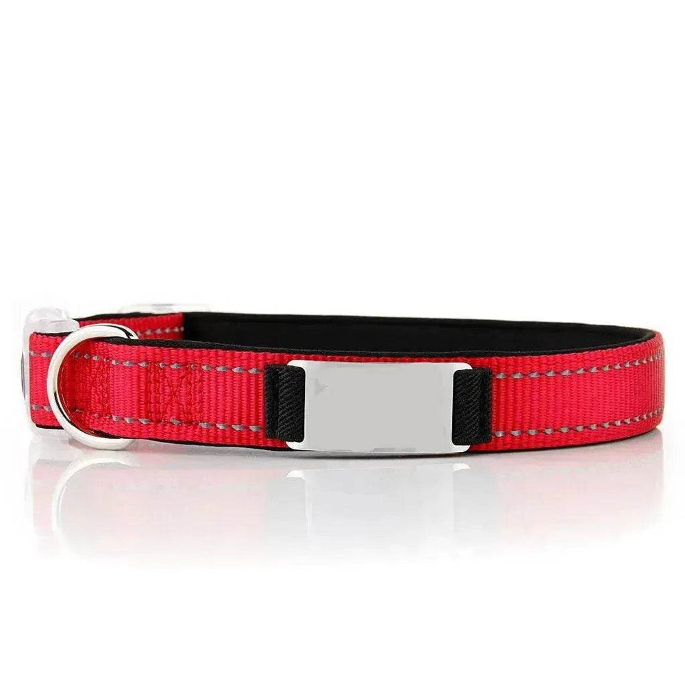Customized Nylon Dog Collar - EX-STOCK Canada