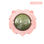 Pink container with a green ball inside on a white background
