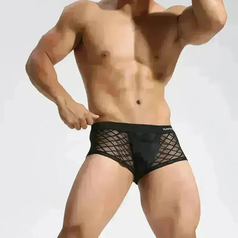 All- match Men's Underwear Breathable Nylon Mesh Boxer Briefs - EX-STOCK CANADA
