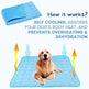 Dog cooling pad with text explaining its functions on a white background