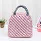 Portable Fashion Insulated Work Lunch Bag for Women - EX-STOCK Canada