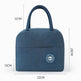 Portable Hand Carry Minimalist Fashion Insulated Work Lunch Bag for Women - EX-STOCK Canada