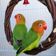 Bird Standing Frame Rattan Ring Chewing Toy Bird Cage EX-STOCK Canada 