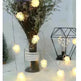 LED Simulation Transparent Pine Nut Light String - EX-STOCK CANADA