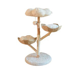 Natural Fruit Tree Cat Climbing Frame Solid Wood Rattan Cat Nest Cat Tree - EX-STOCK Canada