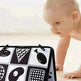 Foldable Cognitive Wall Chart Visual Training Toy for Toddler Children - EX-STOCK CANADA