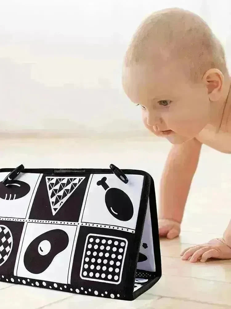 Foldable Cognitive Wall Chart Visual Training Toy for Toddler Children - EX-STOCK CANADA
