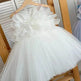 Flower Girl Princess Ball gown for kids - EX-STOCK Canada