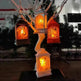 Christmas Decorations Portable Christmas Light Painted Transparent Ornaments - EX-STOCK CANADA