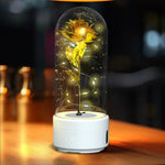 Creative 2 In 1 Rose Flowers LED Light And Bluetooth-compatible Speaker Valentine's Day Gift Rose Luminous Night Light Ornament In Glass Cover - EX-STOCK CANADA