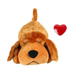 Fashion Hot Selling Pet Comfort Toys - EX-STOCK Canada