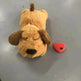 Fashion Hot Selling Pet Comfort Toys - EX-STOCK Canada