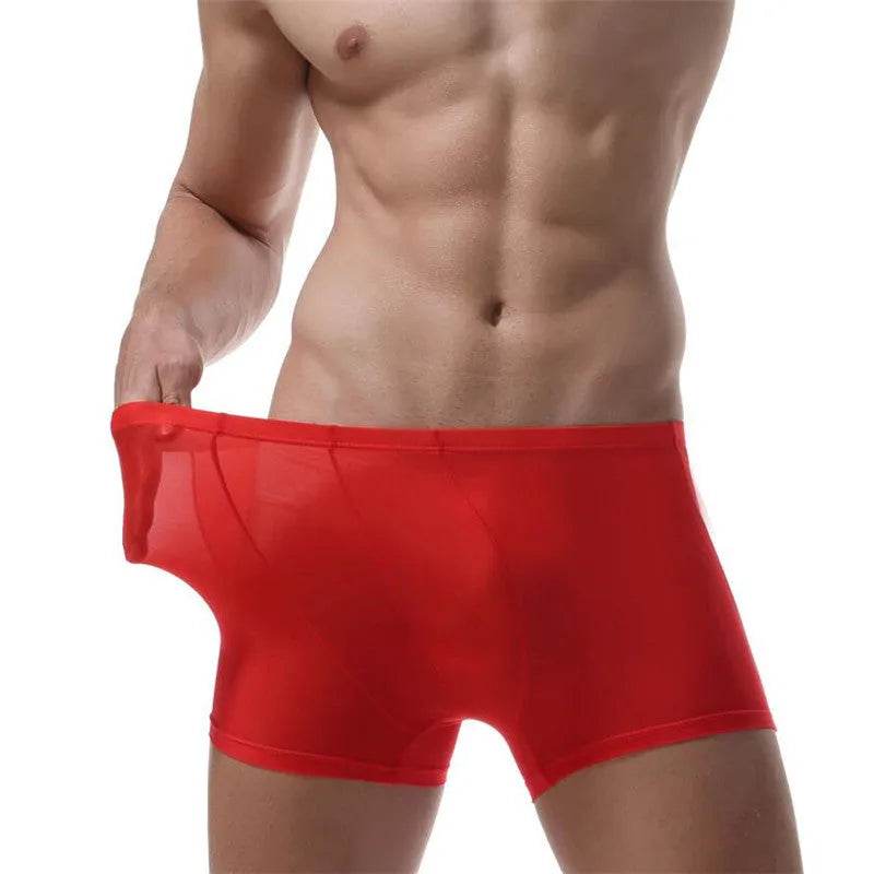 Ice Silk Transparent Elastic Boxer briefs Pant underwear for men - EX-STOCK Canada