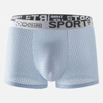 Men's Underwear Mid Waist Mesh Ice Silk Mesh SPORT Boxer Brief - EX-STOCK Canada