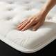 ARY Organic+ Mattress Combo 