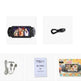 Handheld game console 32 bit 8GB 4.3 inch HD mp5 game console - EX-STOCK Canada
