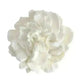 Korean Carnation Flower Scented Candle Mold - EX-STOCK CANADA