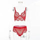 Lace erotic lingerie set - EX-STOCK CANADA