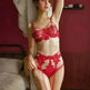 Lace sexy lingerie - EX-STOCK CANADA