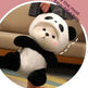 Little Bear Doll Transformation Giant Panda Teddy Plush Toy - EX-STOCK Canada