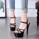 Model High Heels Charming Buckle Women's Shoes 15cm Stiletto - EX-STOCK Canada