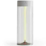 New LED Camping Light Type-c Rechargeable Portable Night Light With High Transparency And Anti Drop Creative Atmosphere Light - EX-STOCK CANADA