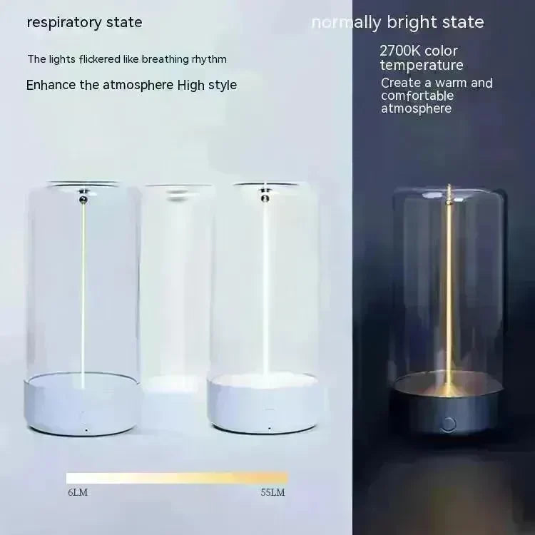 New LED Camping Light Type-c Rechargeable Portable Night Light With High Transparency And Anti Drop Creative Atmosphere Light - EX-STOCK CANADA