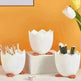 Pen Holder Cracked Chicken Storage Box Multifunctional - EX-STOCK CANADA