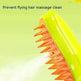 Pet Electric Spray Massage Comb Steam Brush - EX-STOCK CANADA