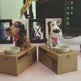Robotic Dog Coin Bank – Interactive Piggy Bank for Kids (6 Colours)