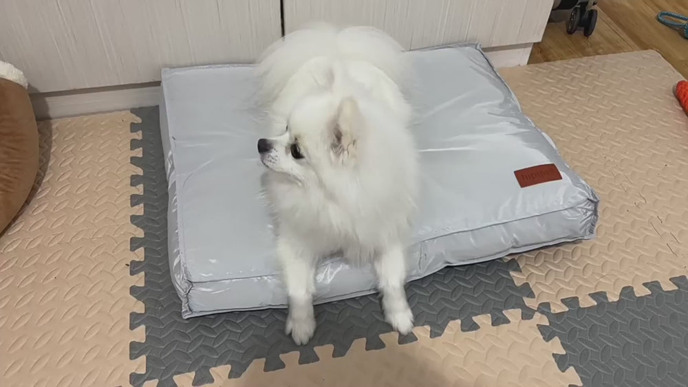 Waterproof Dog Bed for Small, Medium and Large Pets, Washable Dog and Cat Sleeping Mat