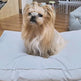 Waterproof Dog Bed for Small, Medium and Large Pets, Washable Dog and Cat Sleeping Mat