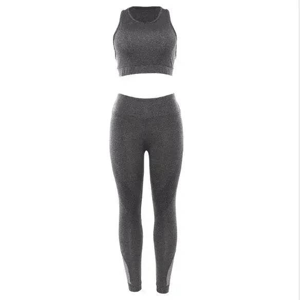 Push Up Gym Set - EX-STOCK Canada