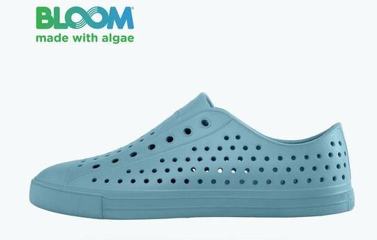 Natif Jefferson Bloom - EX-STOCK Canada