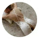 Sexy lingerie pajamas skirt - EX-STOCK CANADA
