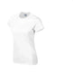 Solid color women's short-sleeved T-shirt combed cotton bottoming shirt advertising shirt custom - EX-STOCK CANADA