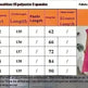 Summer Dress Casual Women's Sleeveless Midi Dress Pleated Long Layered Dress - EX-STOCK CANADA