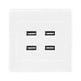 USB charging wall socket panel - EX-STOCK CANADA