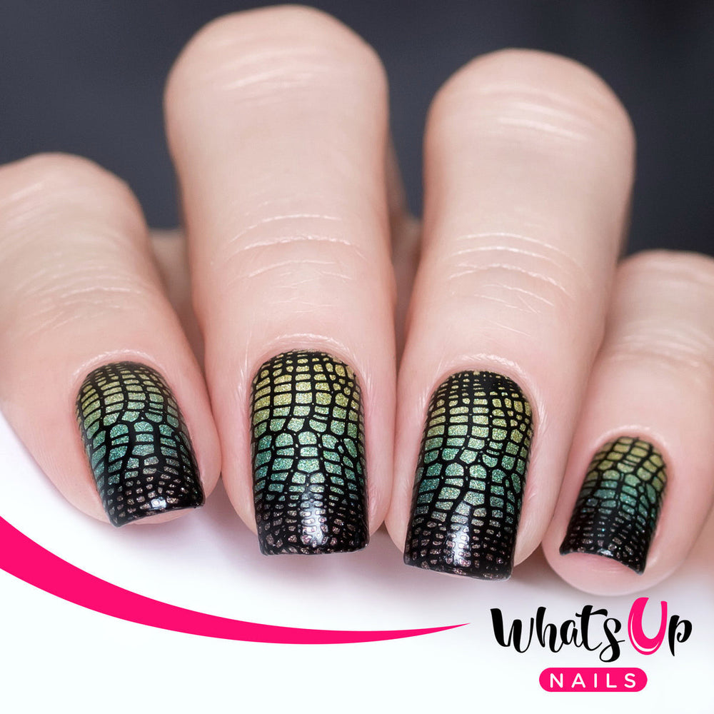 Whats Up - Zoology Trip Stamping Plate EX-STOCK Canada 