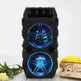 Wireless Bluetooth Speaker Dual Speakers Outdoor Portable Loud Speaker - EX-STOCK Canada