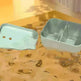 Pet Water Dispenser & Water Filter with a Fountain - EX-STOCK CANADA