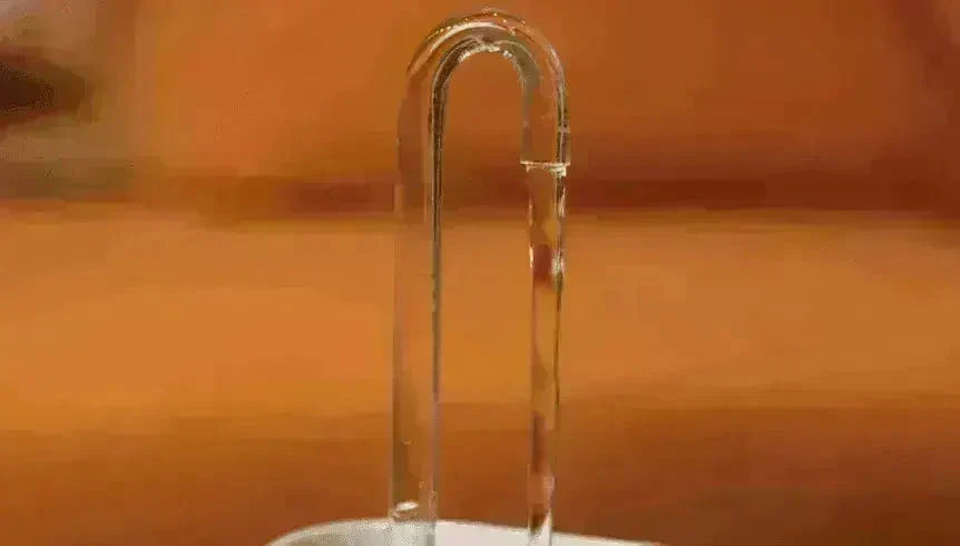 Pet Water Dispenser & Water Filter with a Fountain - EX-STOCK CANADA